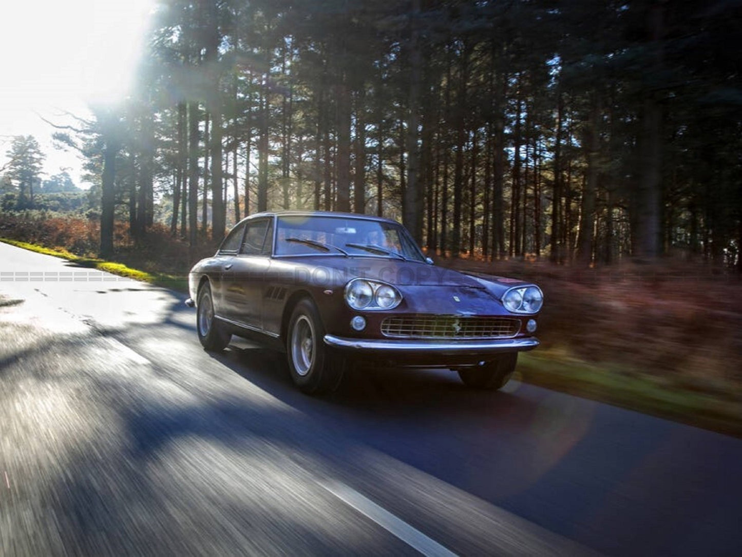 Photo Ferrari 330GT - 15x20