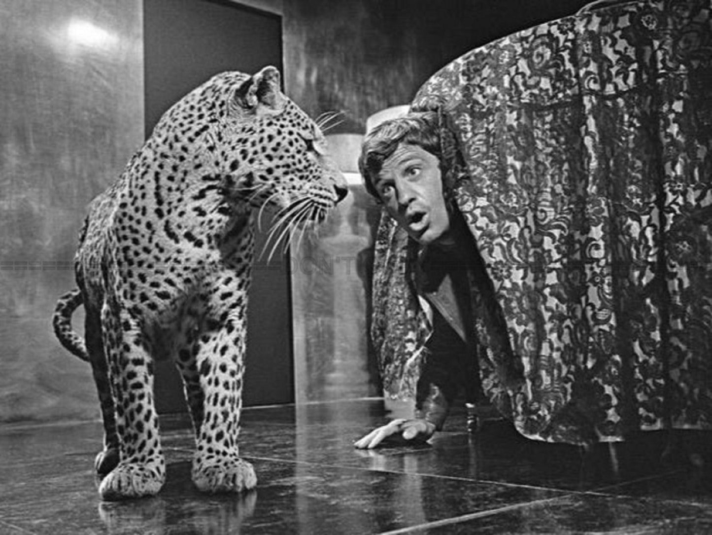 Photo Jean-Paul Belmondo - Le Cerveau (1968) Gérard Oury - Noir et blanc - 15×20