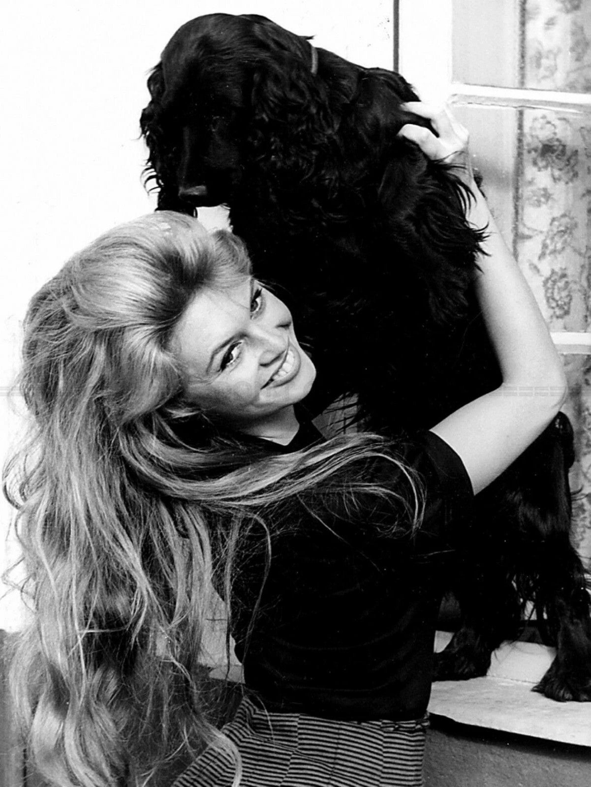 Photo Encadrée Brigitte Bardot - Noir et blanc - (Cadre Bois Blanc) - 15×20