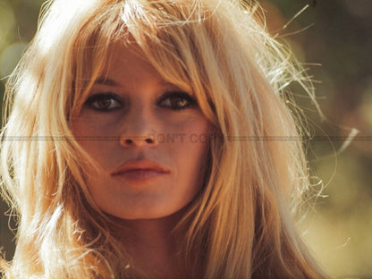 Photo Brigitte Bardot - Couleur - 15×20