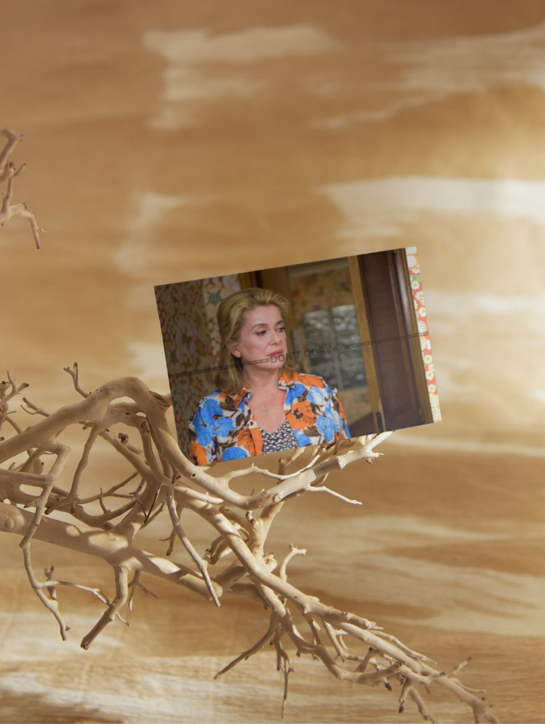 Photo Catherine Deneuve – La Fille du RER (2009) – Portrait Cinéma Drame – 15×20