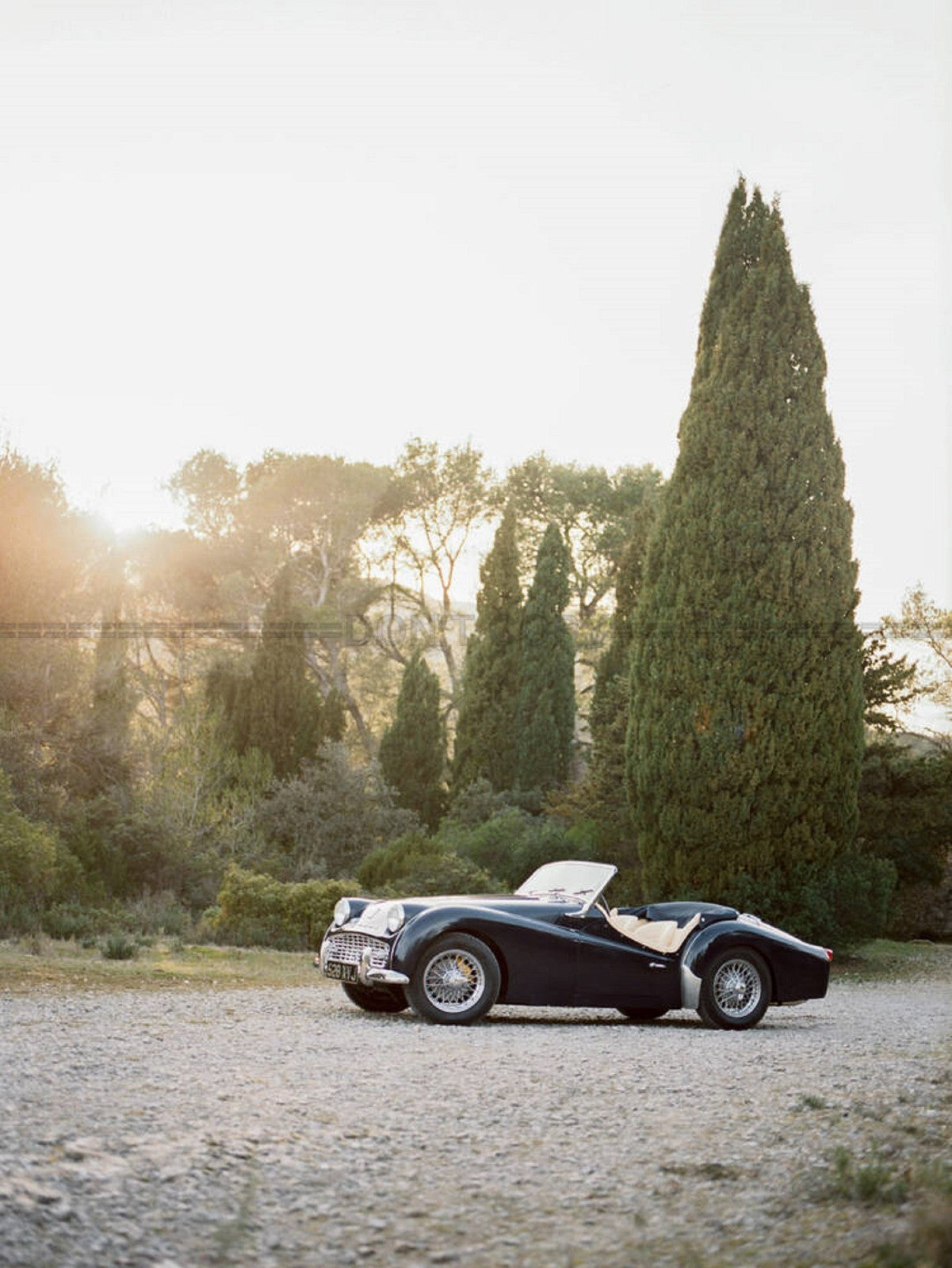 Photo Triumph TR3 - 15x20
