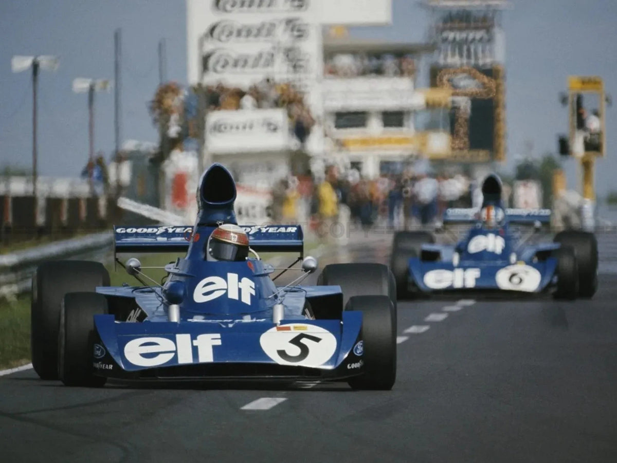 Photo Jackie Stewart & François Cevert - Grand Prix d'Allemagne - 1973 - 15 x 20